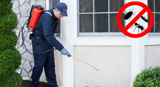 Sumbas Böcek İlaçlama böcek ilaçlama ve haşere kontrolü — ilaclama-tr.com